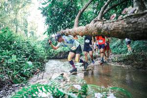 BIB: 
                            <button type="button" onclick="openModal(25454552)" class="btn btn-primary btn-sm float-right btn-popup" data-toggle="modal" data-target=".modal-high-quality">
                        <i class="fas fa-shopping-cart"></i> Add to Cart
                    </button>
                                            <button type="button" onclick="isThisMe(25454552, true)" class="btn btn-success btn-sm float-right btn-popup btn-isme hidden" data-toggle="tooltip" data-placement="bottom" title="นี่คือรูปของคุณใช่ไหม คลิกที่นี่เพื่อเอาเข้าอัลบั้ม">
                        <i class="fas fa-plus"></i> Add to album
                    </button>
                    <button type="button" onclick="isThisMe(25454552, false)" class="btn btn-warning btn-sm float-right btn-popup btn-isnotme hidden">
                        <i class="fas fa-ban"></i> Remove from album
                    </button>